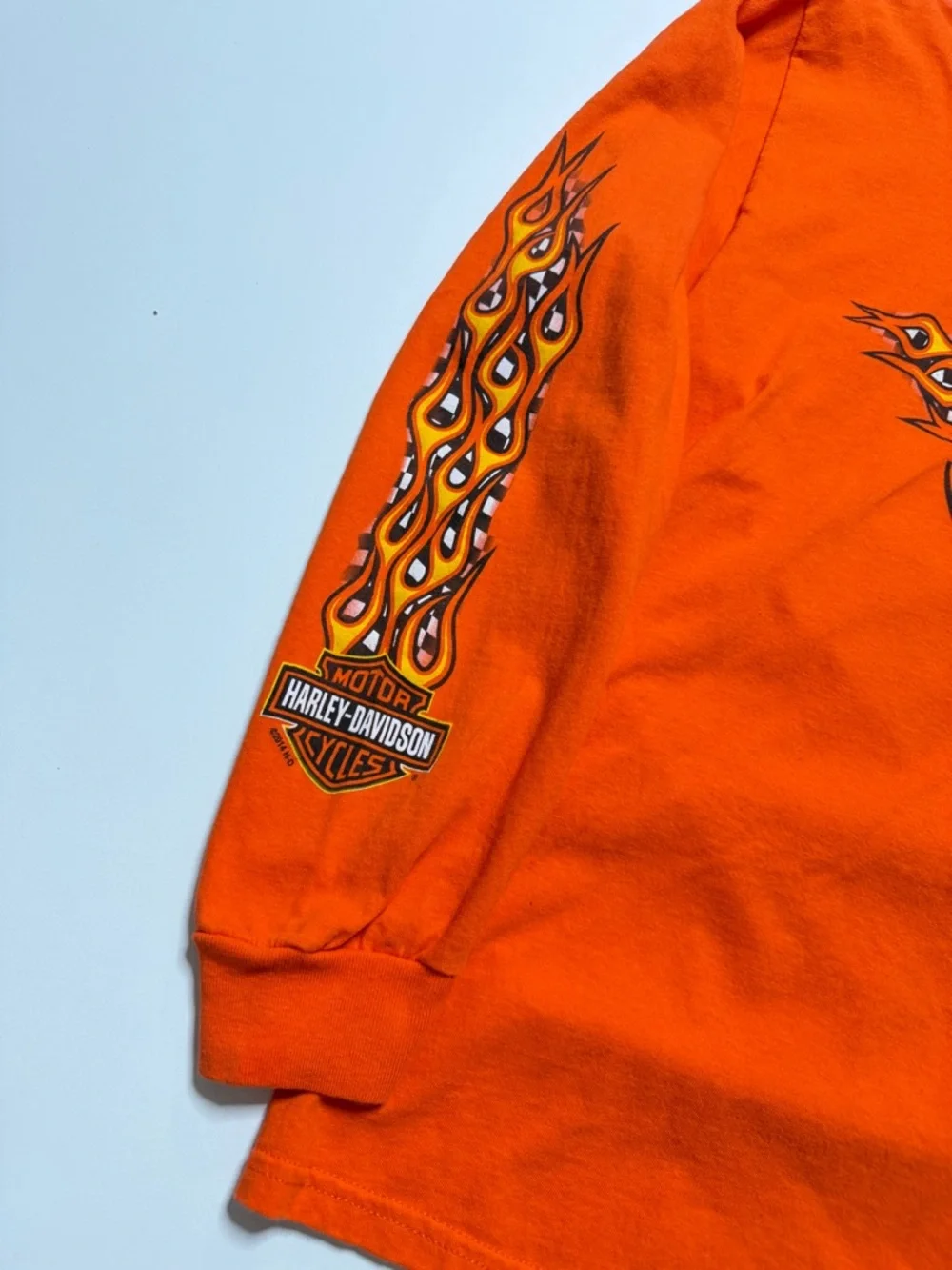 Harley Davidson Langley Chapter Flames Long Sleeve T-Shirt Mens Large - Picture 4 of 9